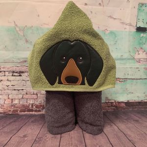 Dachshund Dog Peeker