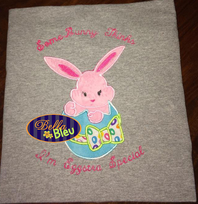Easter Bunny in an egg Embroidery Applique design Easter machine