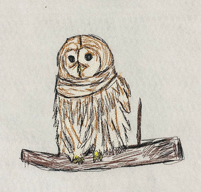 Snow Owl on a branch Scribble 5 sizes