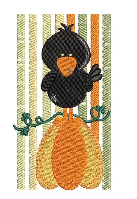 Striped Fall Crow on Pumpkin