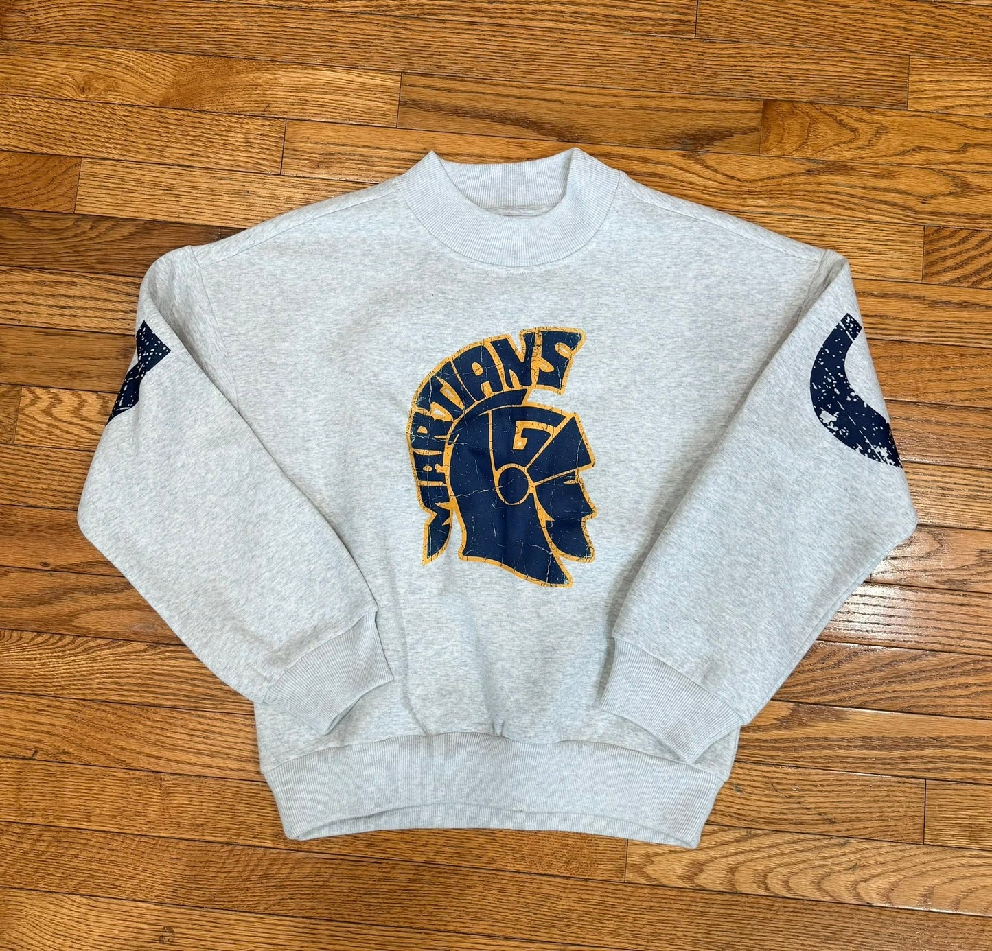 Wingspan Custom Team Sport Sweatshirt