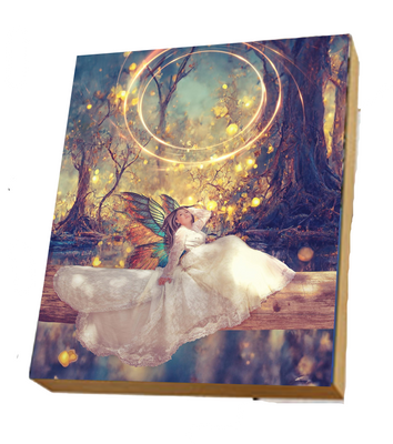 IP Butterfly Bride Wall Hanging