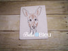 Kangaroo Animal machine colorwork embroidery design Wild Zoo Animal