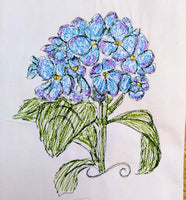 Hydrangea 1 Flower Scribble