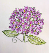 Hydrangea 2 Flower Scribble