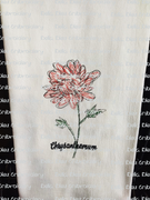 Chrysanthemum Scribble flower