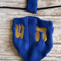Jewish Dreidel  ITH Elf Costume