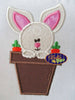 Easter Retiring Bundle