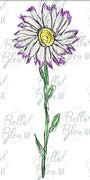 Daisy 2 Flower Scribble