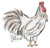 Farm Rooster Scribble Sketchy
