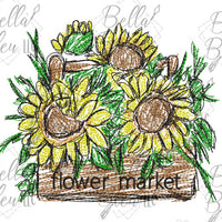 Scribble Sunflower Flower Market